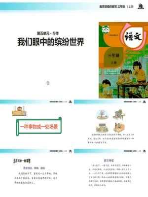 我们眼中的缤纷世界PPT课件1