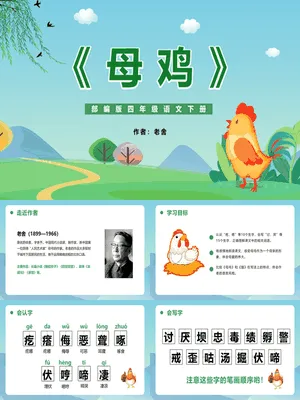 母鸡PPT课件7