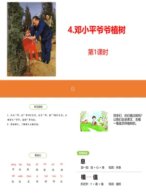 邓小平爷爷植树PPT课件6