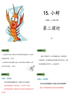 小虾PPT课件2