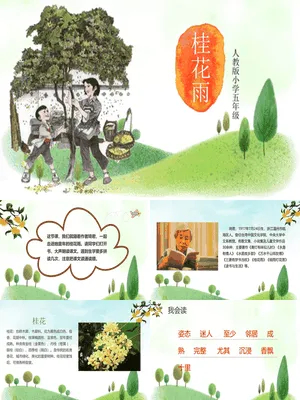 桂花雨PPT课件2