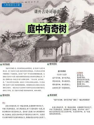 庭中有奇树PPT课件1