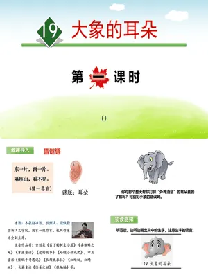 大象的耳朵PPT课件7