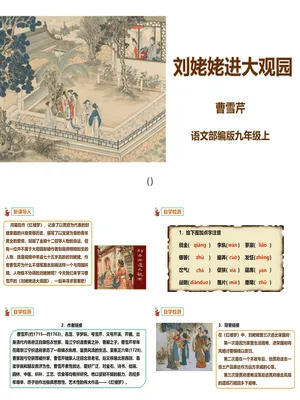 刘姥姥进大观园PPT课件8