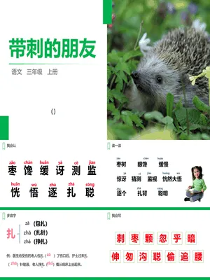 带刺的朋友PPT课件1