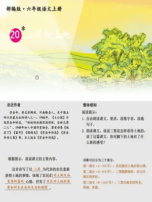 三黑和土地PPT课件7