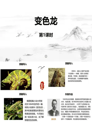 变色龙PPT课件7