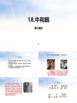 牛和鹅PPT课件3