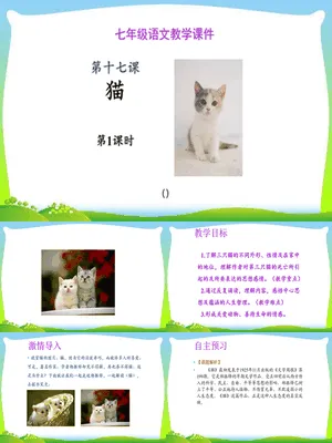 《猫》PPT课件1