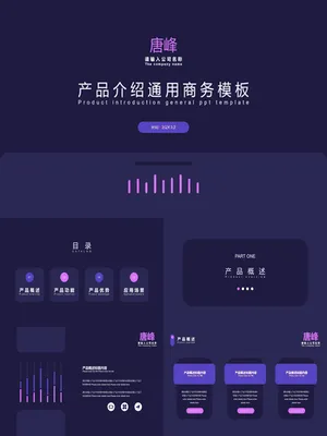 CP00010产品介绍