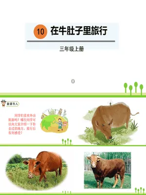 在牛肚子里旅行PPT课件7