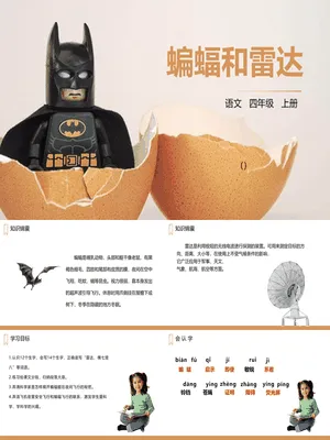 蝙蝠与雷达PPT课件4