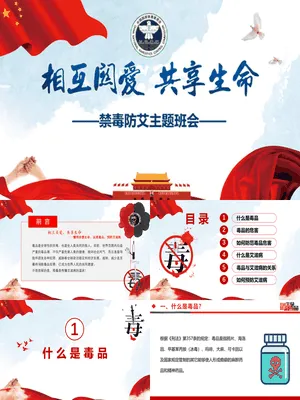 禁毒防艾主题班会