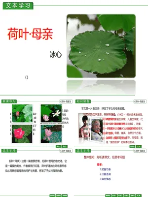 荷花母亲PPT课件1