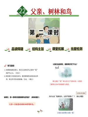 父亲树林和鸟PPT课件7