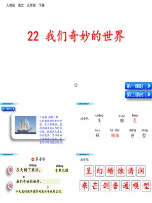 我们奇妙的世界PPT课件8