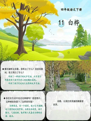 白桦PPT课件4