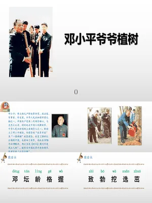邓小平爷爷植树PPT课件2