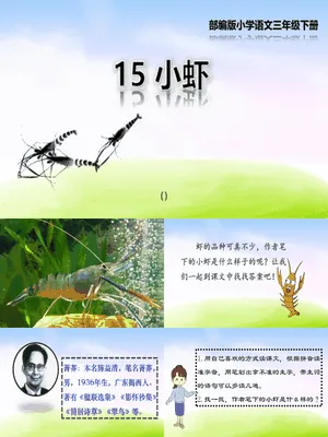 小虾PPT课件5