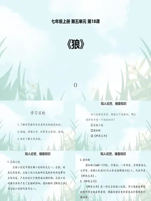 狼PPT课件8