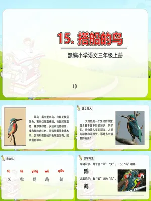 搭船的鸟PPT课件8