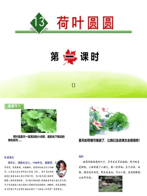 荷叶圆圆PPT课件4