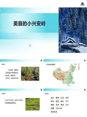 美丽的小兴安岭PPT课件4