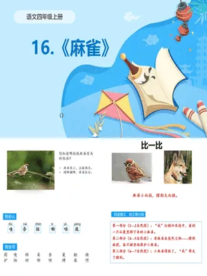 麻雀PPT课件1