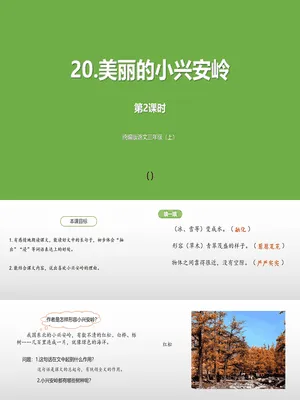 美丽的小兴安岭PPT课件7