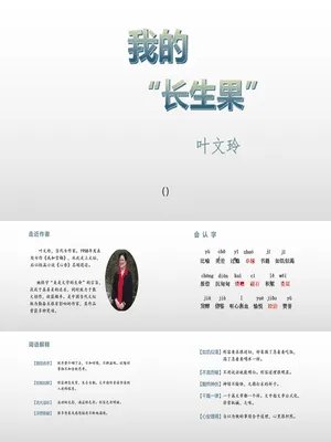 我的长生果PPT课件2