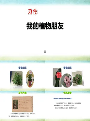 我的植物朋友PPT课件3