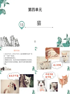猫PPT课件5