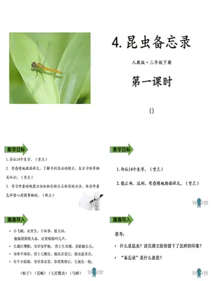 昆虫备忘录PPT课件2