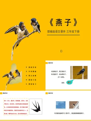 燕子PPT课件3