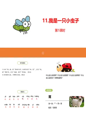 我是一只小虫子PPT课件5