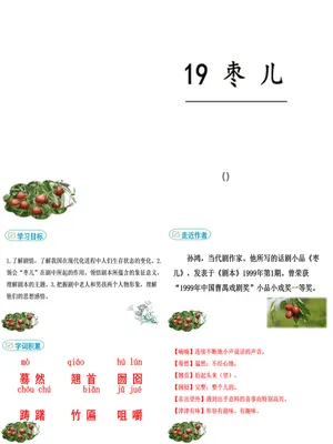 枣儿PPT课件7