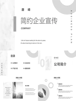 SW00072JS00034商业计划书设计灵感