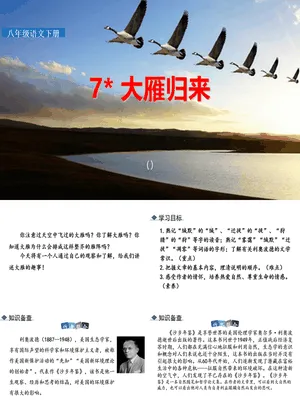 大雁归来PPT课件5