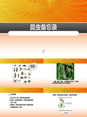 昆虫备忘录PPT课件5