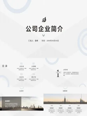 SW00081JS00043商业计划书路演