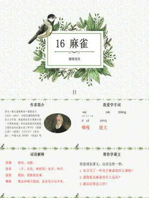 麻雀PPT课件5
