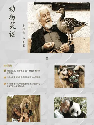 动物笑谈PPT课件5