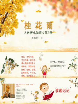 桂花雨PPT课件7