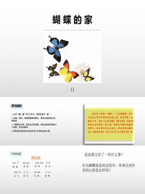 蝴蝶的家PPT课件7