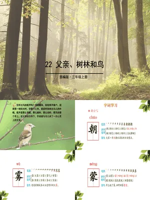 父亲树林和鸟PPT课件5