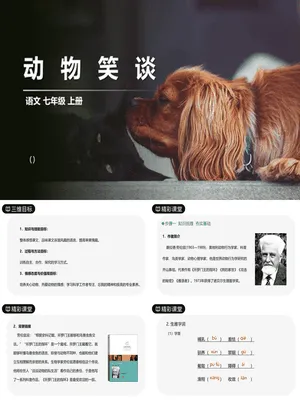 动物笑谈PPT课件2