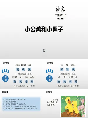 小公鸡和小鸭子PPT课件4