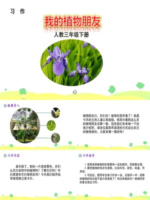 我的植物朋友PPT课件4