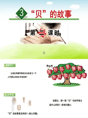 贝的故事PPT课件5