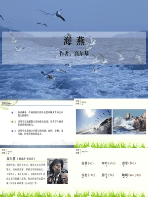 海燕PPT课件7